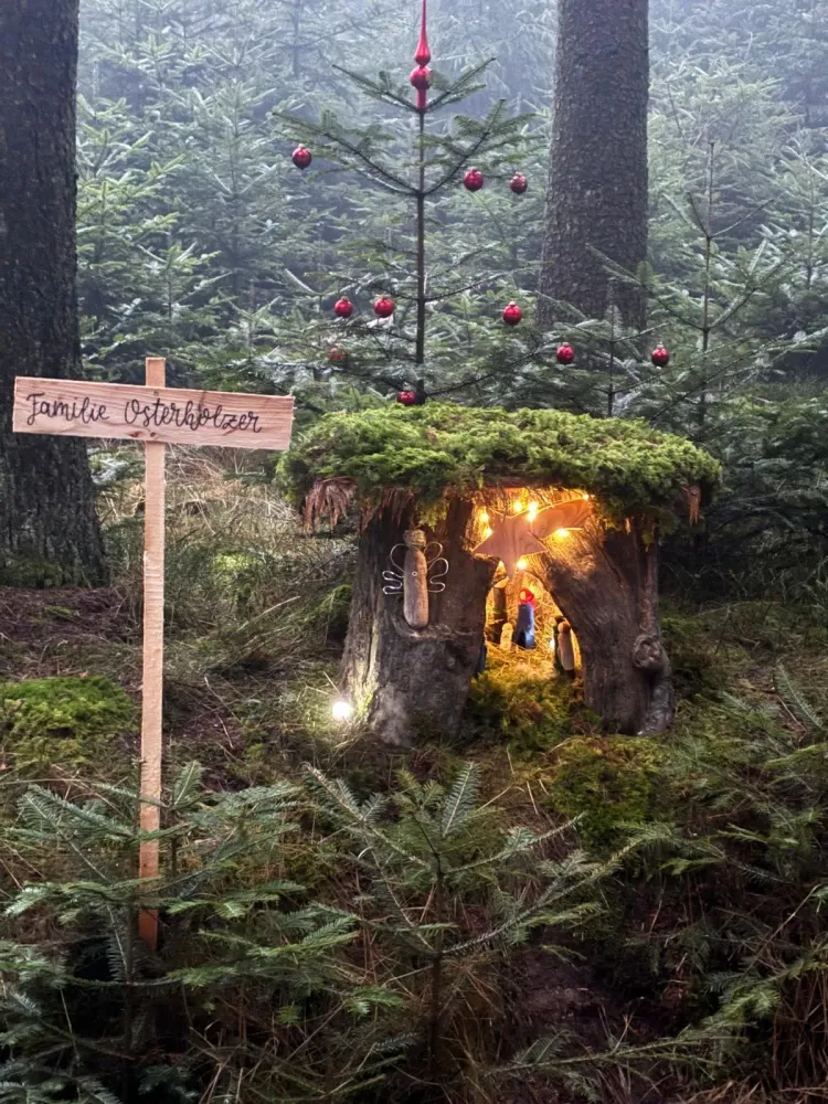 Kripperlweg Eindruck 9